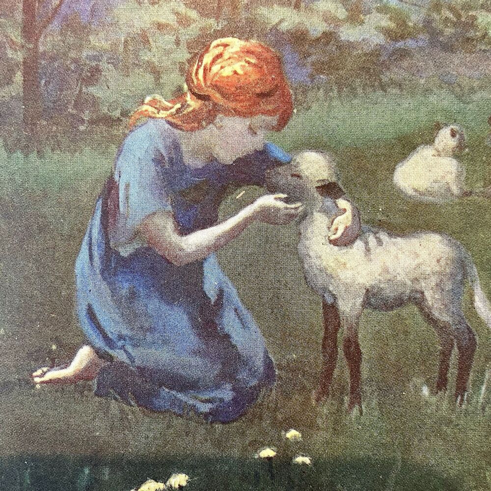 PostCard Sheep Red Hair Girl Kiss Irish England Flower Woods Landscape Divided